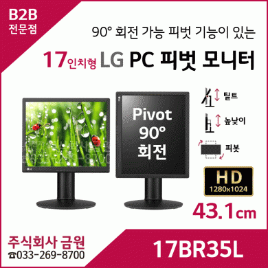 LG 17인치 LED 모니터 17BR35L