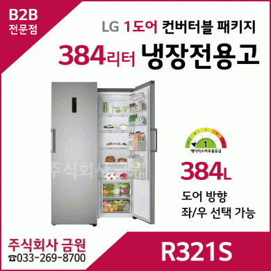 LG 384리터 1도어 컨버터블패키지 냉장고 R321S