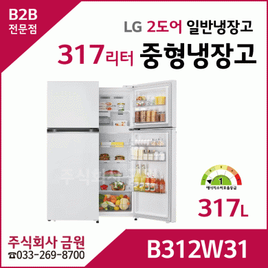 LG 2도어 일반냉장고 B312W31