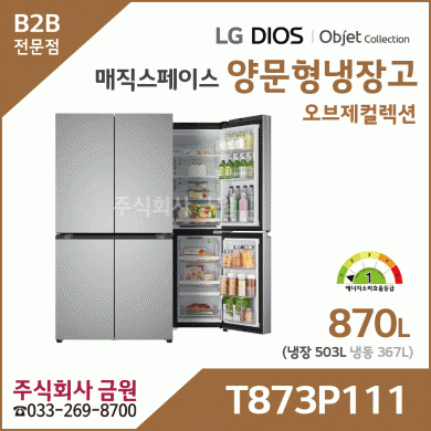 LG 디오스 오브제컬렉션 매직스페이스 냉장고 T873P111