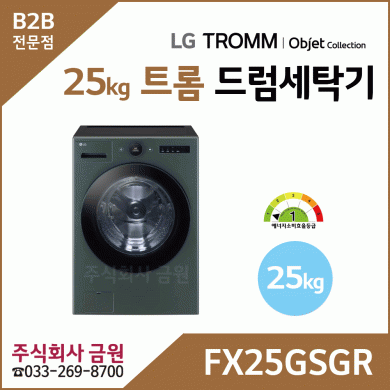 LG 트롬 25kg 오브제컬렉션 드럼세탁기 FX25GSGR