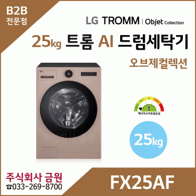 LG 트롬 25kg AI 오브제컬렉션 드럼세탁기 FX25AF