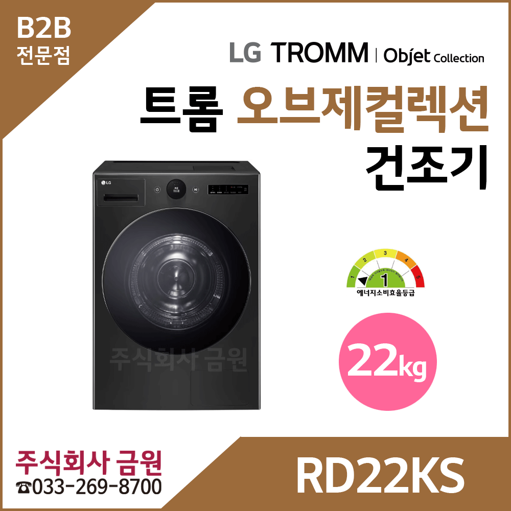 LG 트롬 22kg 전기식 건조기 RD22KS