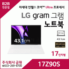 LG 그램 노트북 17Z90S