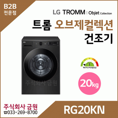 LG 트롬 20kg 전기식 건조기 RG20KN