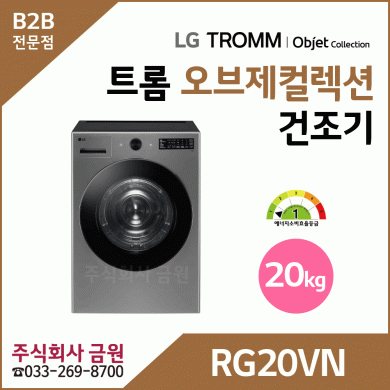 LG 트롬 20kg 전기식 건조기 RG20VN