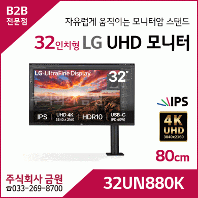 LG 울트라HD 모니터 32UN880K