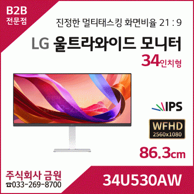 LG 울트라와이드 모니터 34U530AW