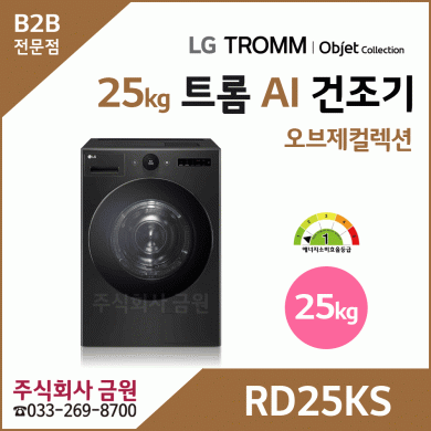LG 트롬 AI 오브제컬렉션 건조기 25kg RD25KS