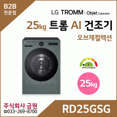 LG 트롬 AI 오브제컬렉션 건조기 25kg RD25GSG