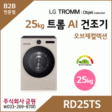 LG 트롬 AI 오브제컬렉션 건조기 25kg RD25TS