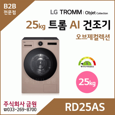 LG 트롬 AI 오브제컬렉션 건조기 25kg RD25AS