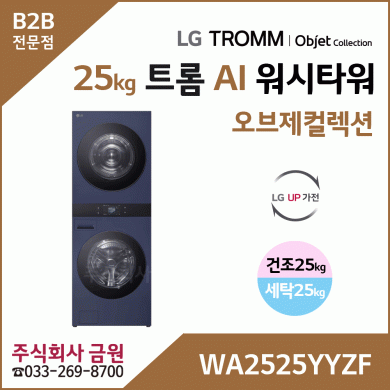 LG 트롬 AI 오브제컬렉션 워시타워 WA2525YYZF