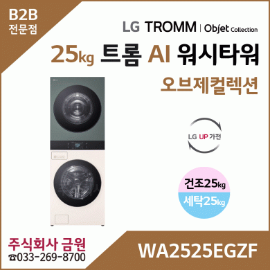 LG 트롬 AI 오브제컬렉션 워시타워 WA2525EGZF