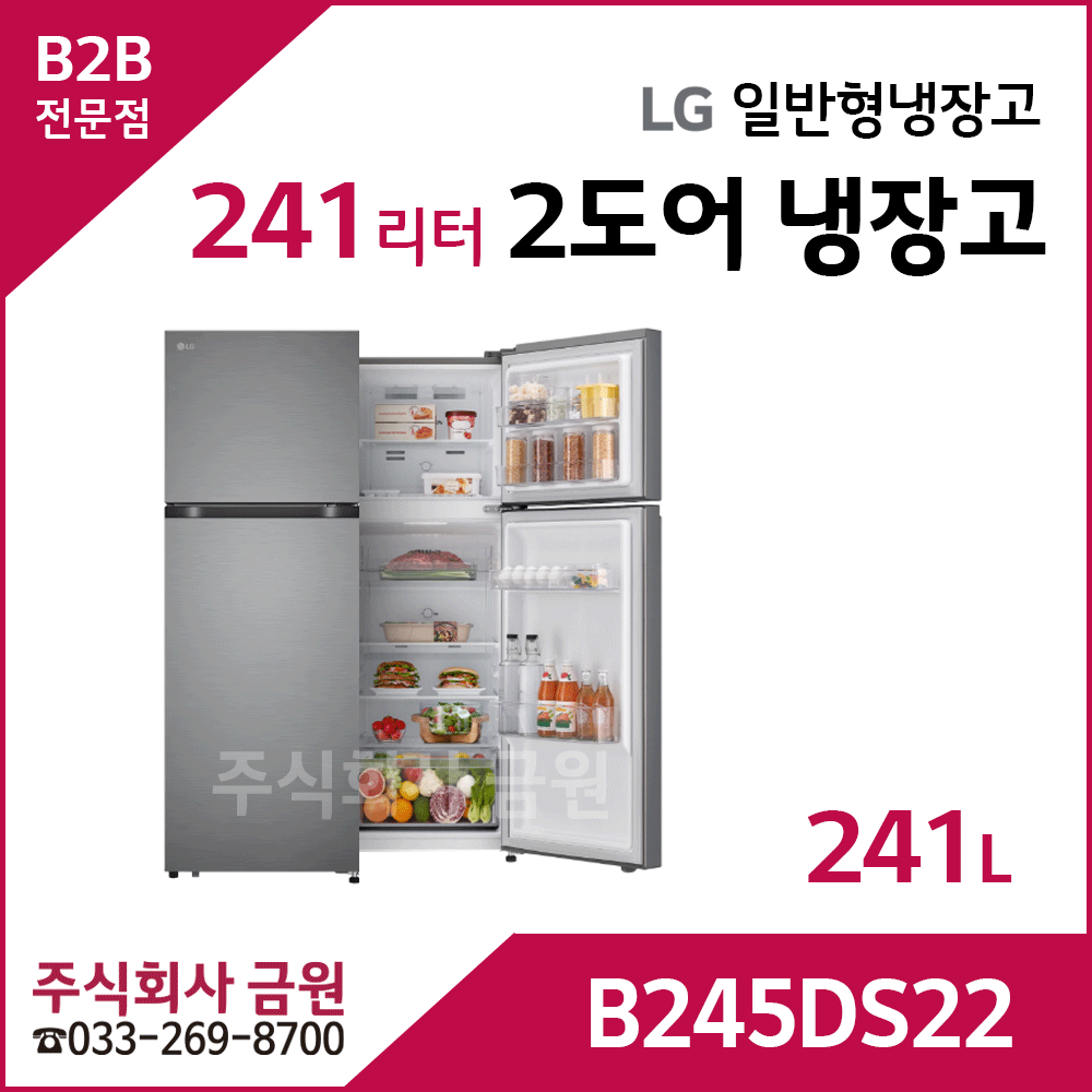 LG전자 241리터 2도어 일반냉장고 B245DS22