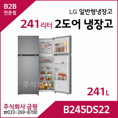 LG전자 241리터 2도어 일반냉장고 B245DS22