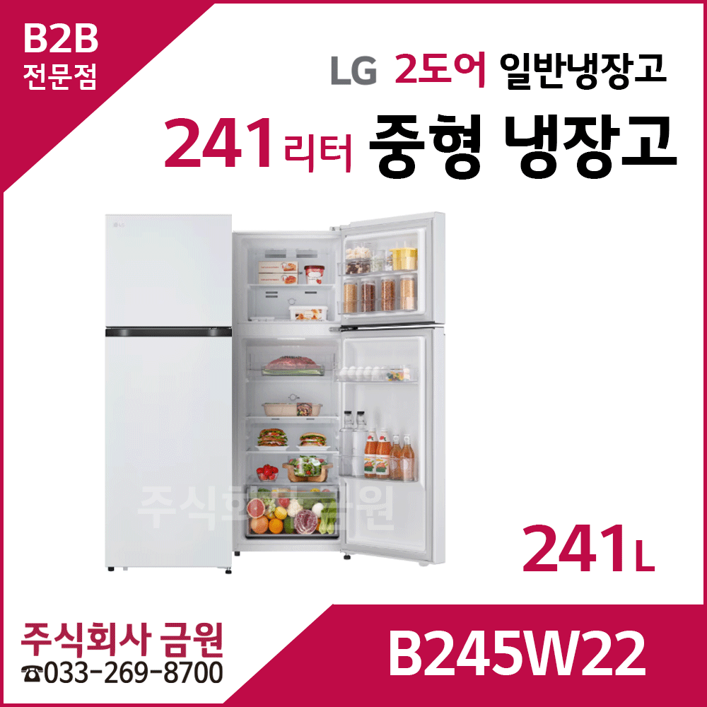 LG전자 241리터 2도어 일반냉장고 B245DS22