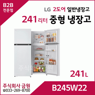 LG전자 241리터 2도어 일반냉장고 B245DS22