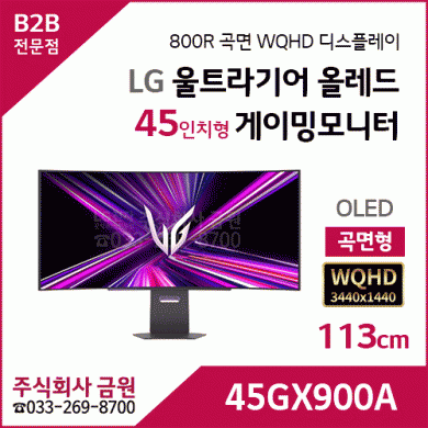 LG 울트라기어 올레드 게이밍모니터 45GX900A